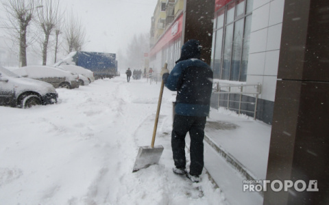Аномальное тепло и 10-сантиметровые сугробы: какой будет погода в Кирове в последние дни января