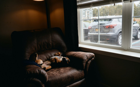 Тельцы захотят перемен, а Рыбам нужно затаиться: гороскоп для всех на четверг