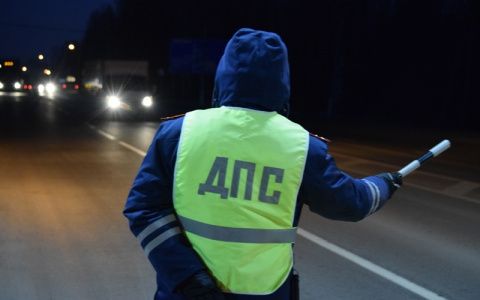В ГИБДД рассказали, в каком районе Кирова проведут «сплошные проверки»
