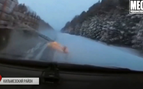 Пункт назначения: на трассе в Кировской области на легковушку упало бревно с лесовоза