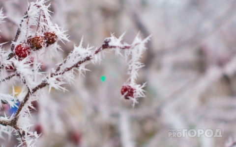 Что обсуждают в Кирове: самый холодный за 10 лет февраль и видео падения рабочего с крыши