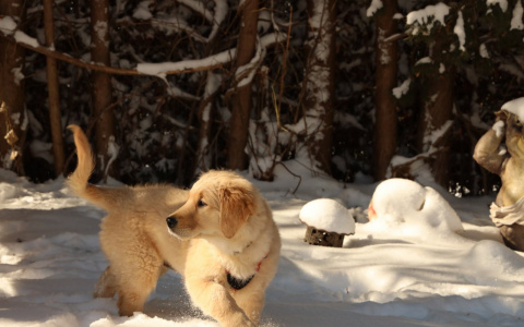 Раки смогут отдохнуть, а Весы останутся в одиночестве: гороскоп на четверг