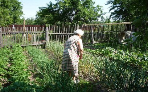 В Кировской области пенсионерка платила аренду за собственную землю