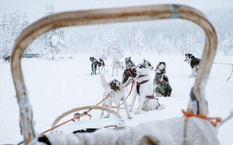 Девам пора на отдых, а Козерогов ждет приятный сюрприз: гороскоп на воскресенье