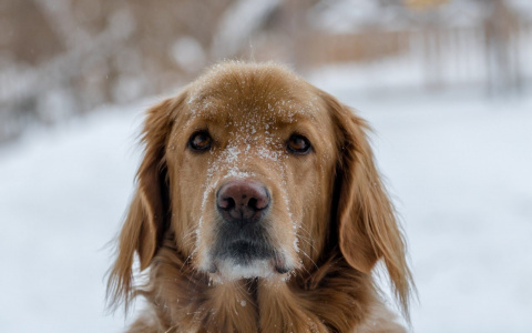 Скорпионы выбьются из колеи, а Рыб ждет привет из прошлого: гороскоп на среду