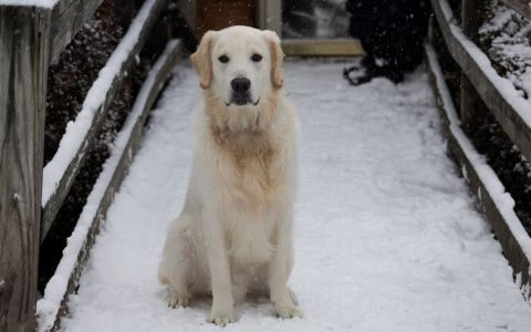 Овны достигнут цели, а Ракам нужно быть внимательнее к мелочам: гороскоп на четверг