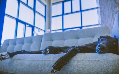 Рыб ждут любовные приключения, а Козероги смогут заработать: гороскоп на выходные