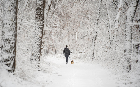 Львы примут решение, а для Скорпионов настанет время перемен: гороскоп на вторник