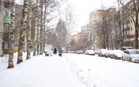В Кирове впервые с 2017 года зафиксирован 30-градусный мороз