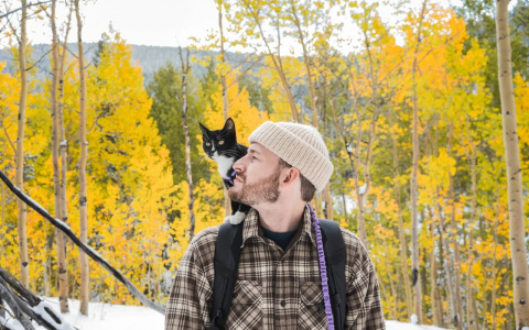 Овнам стоит побыть с семьей, а Близнецов ждет удача в деньгах: гороскоп на 23 февраля