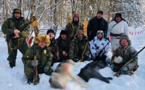 В Кировской области исчезла стая черной волчицы