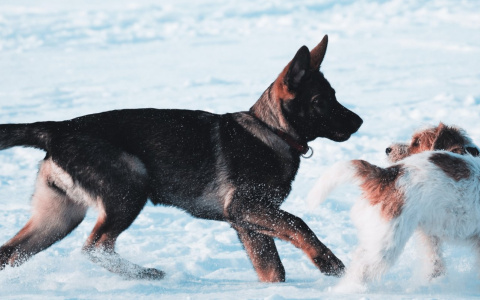 Тельцам нельзя рисковать, а в Раках проснутся нежные чувства: гороскоп на пятницу