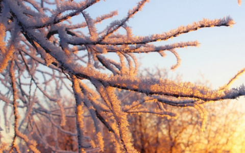 МЧС объявило новое метеопредупреждение на выходные из-за аномальных холодов