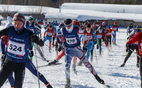 Почти 500 спортсменов вышли на лыжню в Радужном