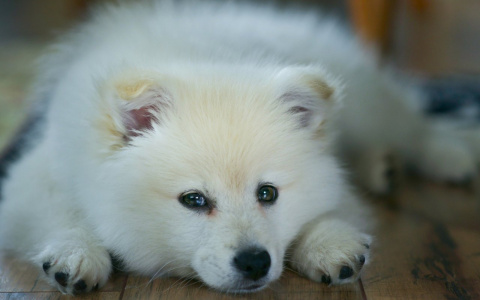Водолеи залягут на дно, а Дев ждет буря эмоций: гороскоп на пятницу