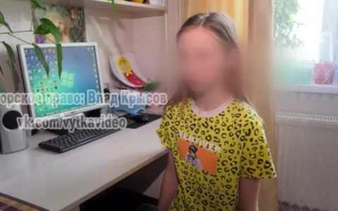 Родители девочки, которую высадили из автобуса в Кирове, попросили прекратить дело