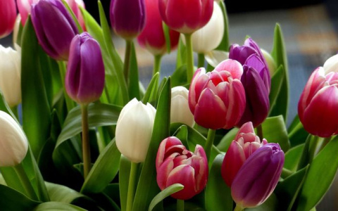 Сбер поздравляет прекрасных женщин!