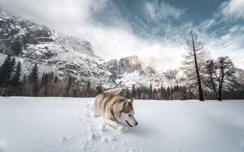 Рыбы пойдут на риск, а Скорпионы окажутся перед выбором: гороскоп на 8 марта