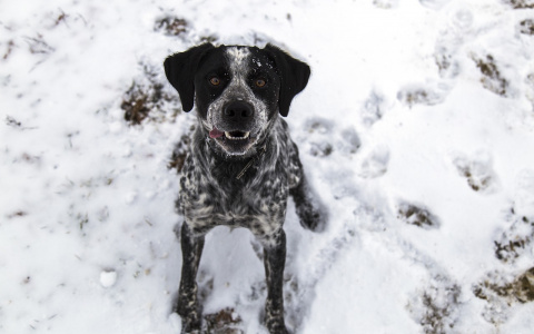 Овны столкнутся с препятствиями, а Ракам нужно ловить момент: гороскоп на среду