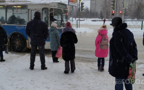 В Кирове на детей-безбилетников будут жаловаться в школу