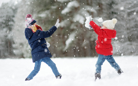 В Кирове девочка кинула ледышку в голову сверстника и попала на учет в КДН