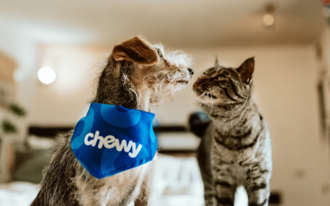 Раки не смогут отдохнуть, а Козерогов ждет судьбоносная встреча: гороскоп на выходные