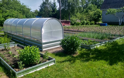 Парник или теплица? Читаем отзывы садоводов и выбираем лучшее