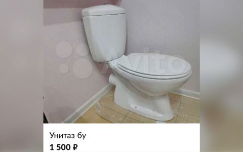 Мошенники находят жертв по объявлениям: кировчанин лишился 53 тысяч рублей, продавая унитаз