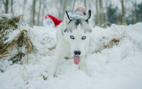 Планы Раков сорвутся, а Скорпионы смогут изменить судьбу: гороскоп на четверг