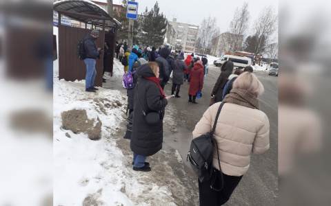 В Кирове автобусы и троллейбусы вышли на маршруты без кондукторов