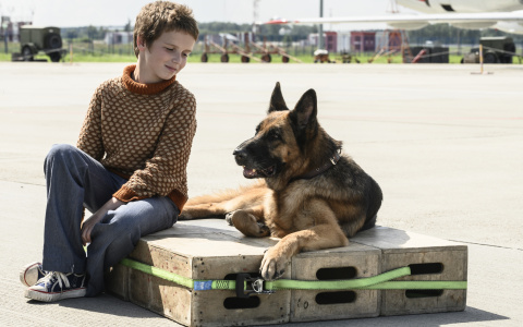 В Кирове прошел предпоказ нового российского фильма "Пальма"