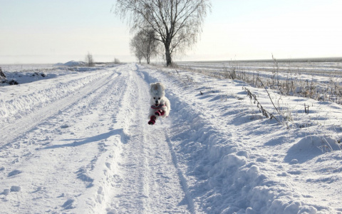 Дев ждет важный разговор, а Рыбы потеряют интерес к жизни: гороскоп на среду