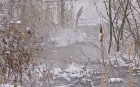 В Кирове женщина сорвалась с обрыва и час провисела на дереве