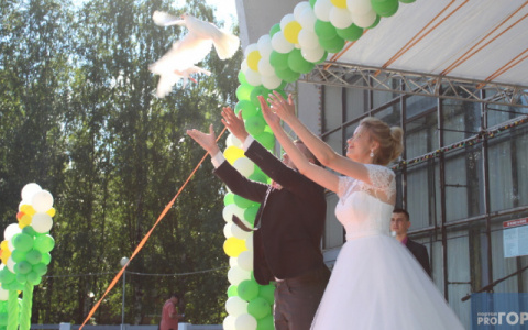 В России установлен рекорд по количеству брачных договоров за год