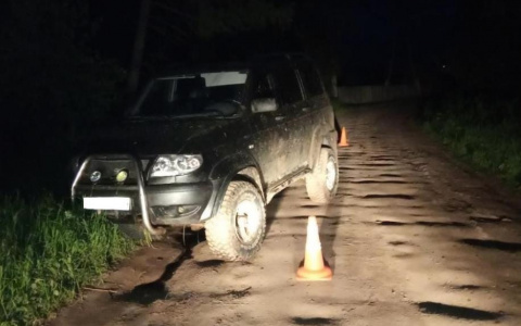 В Кировской области осудили водителя, сбившего насмерть 18-летнюю девушку