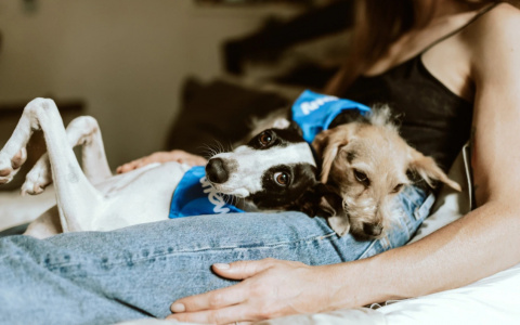 Тельцов ждет хорошая весть, а Скорпионы затянут пояс потуже: гороскоп на пятницу