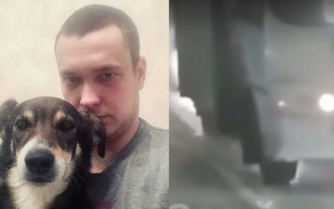 Что обсуждают в Кирове: собака, съевшая мясо с иголками, и горящий автобус