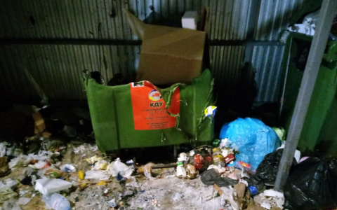 За месяц в Кирове сломали 93 контейнера