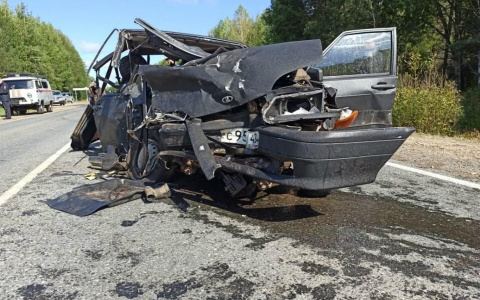 В Кировской области осудили водителя, по вине которого погибла женщина