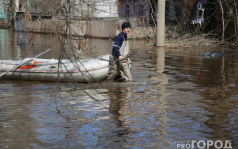 В апреле в Кировской области может потеплеть до +20 градусов