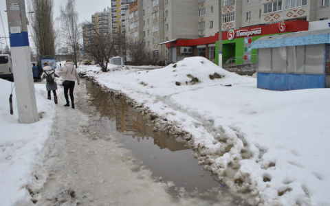 Что обсуждают в Кирове: таяние снега и смягчение коронавирусных ограничений
