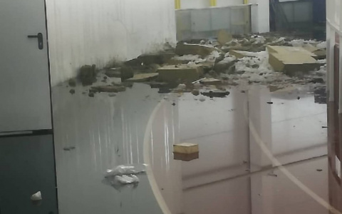 После обрушения кровли в спорткомплексе «Вересники» возбуждено уголовное дело