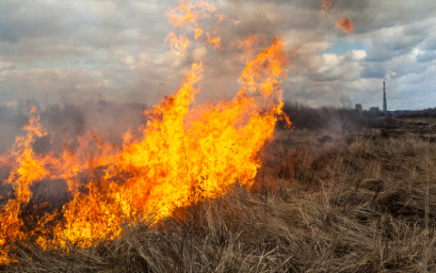В Кировской области начался сезон горящей травы: МЧС сообщило о первом пожаре