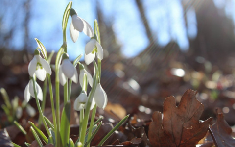 Что обсуждают в Кирове: потепление до +20 градусов и ядовито-зеленая вода из кранов