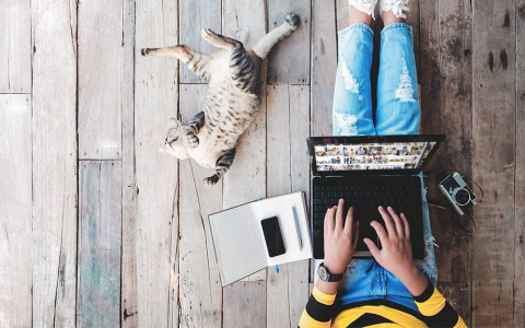 Билайн и «АльфаСтрахование» запустили онлайн-оформление ипотечного страхования со скидкой 20%