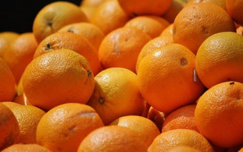 В Киров привезли 2 тонны зараженных апельсинов