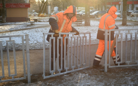 Вместо ограждений на Воровского и Московской появится живая изгородь