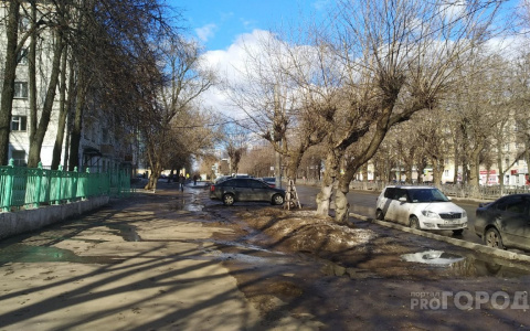 Первая гроза и потепление: прогноз погоды в Кирове на неделю с 19 по 25 апреля