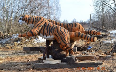 Тигры ждут хозяина: умелец из Кировской области создает необычные фигуры из дерева