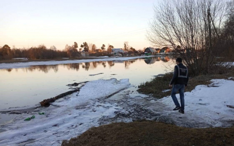 В Мурыгино на глазах друга утонул 10-летний мальчик